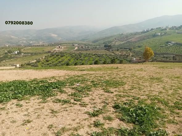 10-Dunam Land Plot in Uneibeh, Jerash — Jerash, Jordan (4)
