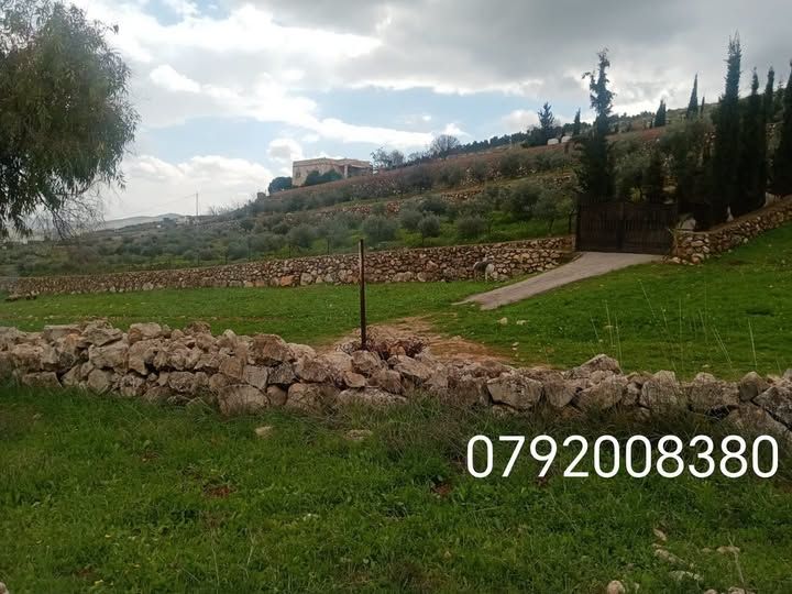 7-Dunam Cultivated Farm — Jerash, Jordan