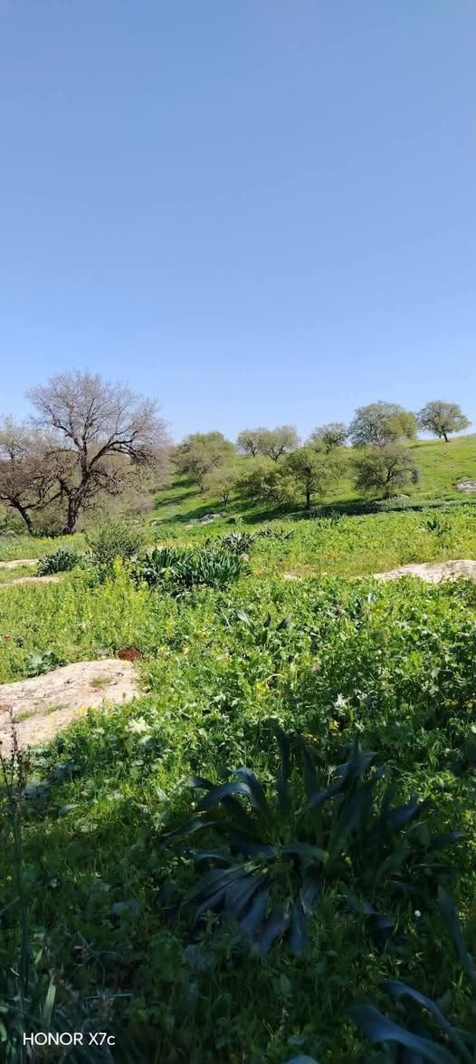 قطعة أرض زراعية 3400 متر مربع — Zubdat al-Wastiyeh, الأردن