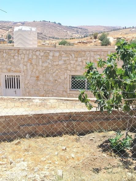 3.5-Dunum Farm East of Jerash with Olive & Fig Trees — Jerash, Jordan (2)