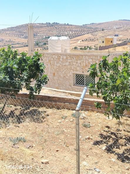 3.5-Dunum Farm East of Jerash with Olive & Fig Trees — Jerash, Jordan (3)