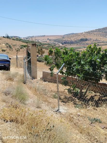 3.5-Dunum Farm East of Jerash with Olive & Fig Trees — Jerash, Jordan (4)