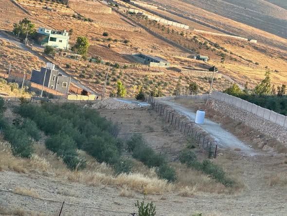Olive Farm - 3.8 Dunums, Bal'ama