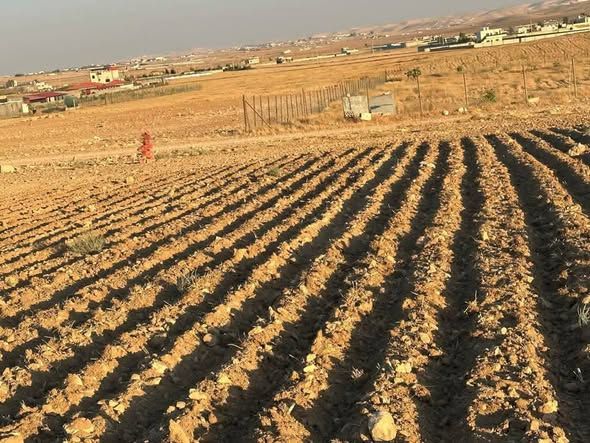 4 Dunums & 537 sqm Land Plot