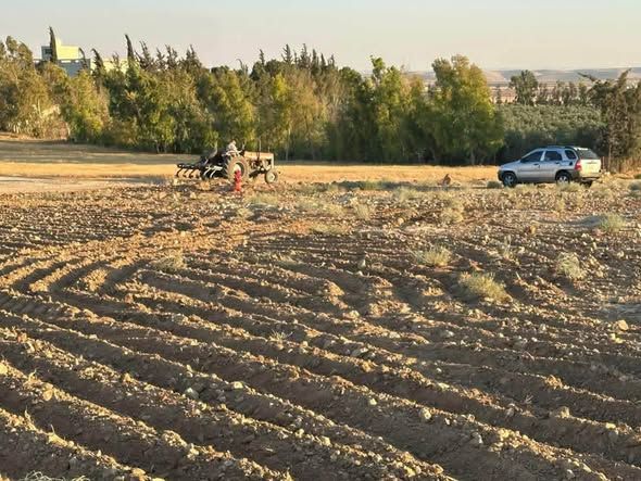 4 Dunums & 537 sqm Land Plot — Khirbet As-Samra, Jordan (2)