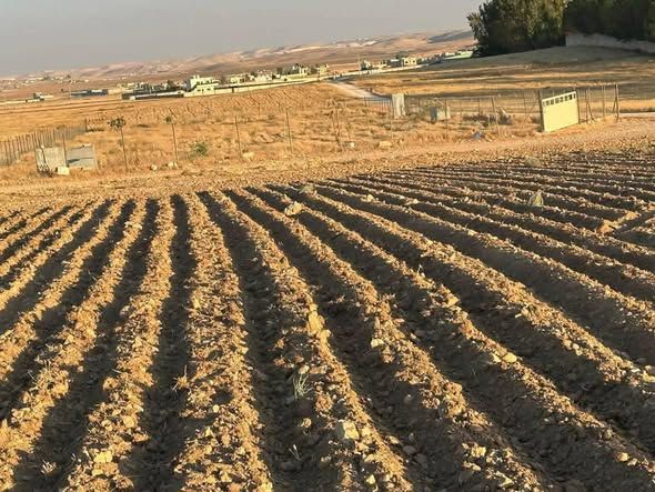 4 Dunums & 537 sqm Land Plot — Khirbet As-Samra, Jordan (4)