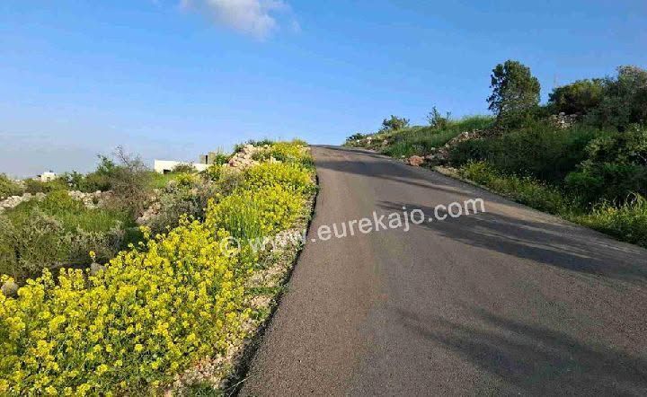 دونم أرض مميز على شارع الستين