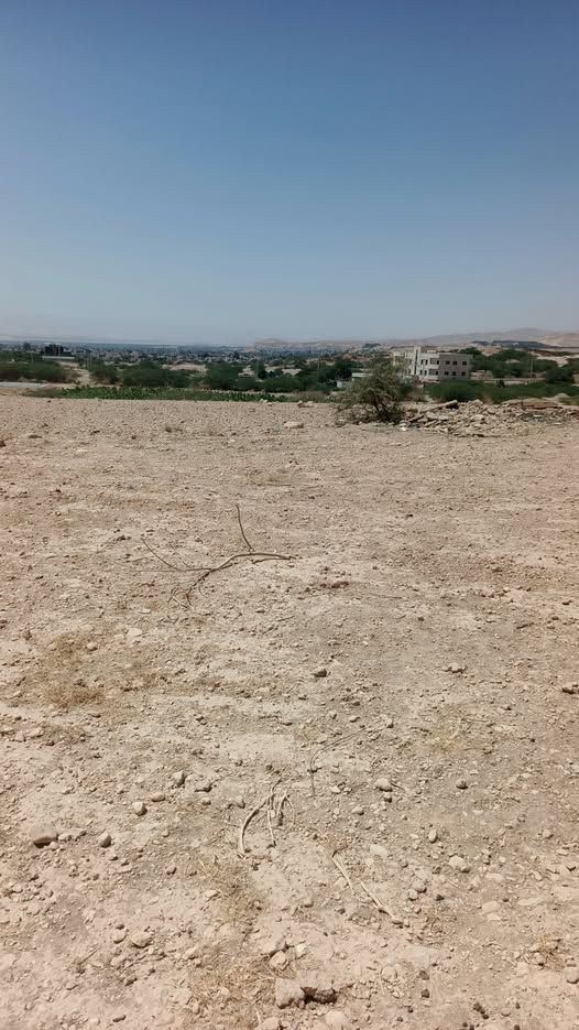 12-Dunam Land Plot – Dead Sea Road, Ghor Al-Rama