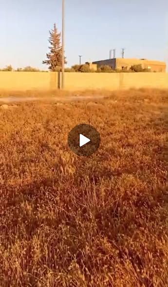مزرعة 8 دونم مع بيت مسطح وزيتون مثمر — Madaba, الأردن (2)