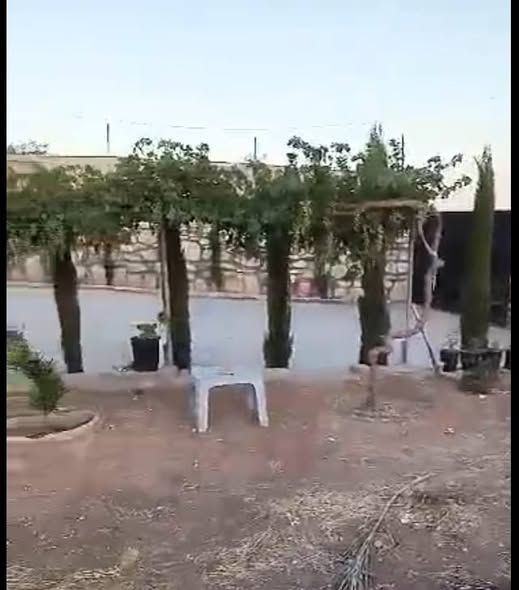 4-Dunum Olive & Fruit Farm in Madaba — Madaba, Jordan (2)