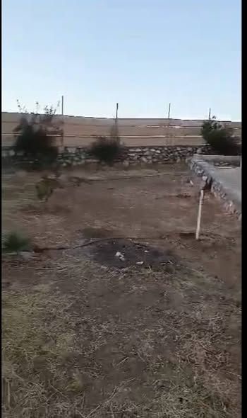 4-Dunum Olive & Fruit Farm in Madaba — Madaba, Jordan (3)