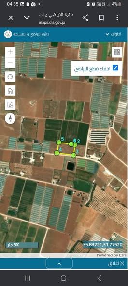 Olive-Planted Agricultural Land in Hisban, Jordan