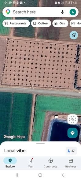Olive-Planted Agricultural Land in Hisban, Jordan — Hisban, Jordan (2)