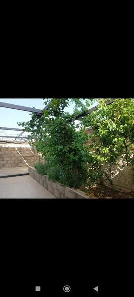 Duplex Villa – 508 sqm Land