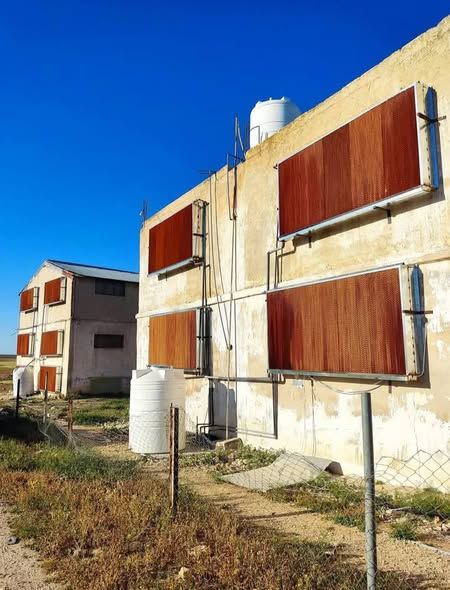 Poultry Farm Cooling Pads — Jordan (2)