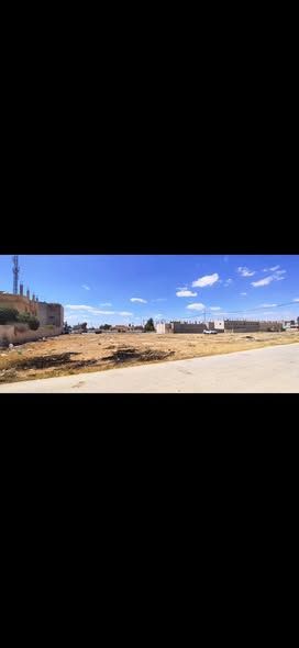 Residential Land Plot 1031 sqm – Al Dhulail — Al Dhulail, Jordan (2)