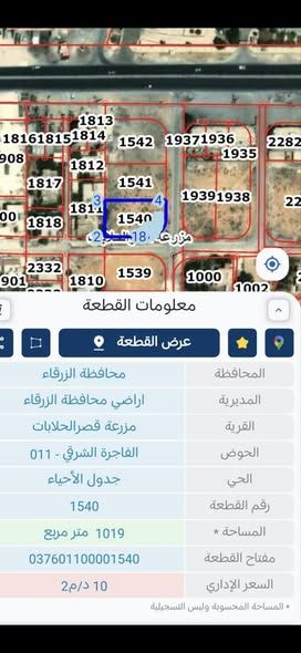Residential Land Plot 1031 sqm – Al Dhulail — Al Dhulail, Jordan (3)