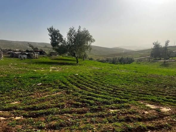 قطعة أرض 3 دونم و400 متر - بلعما