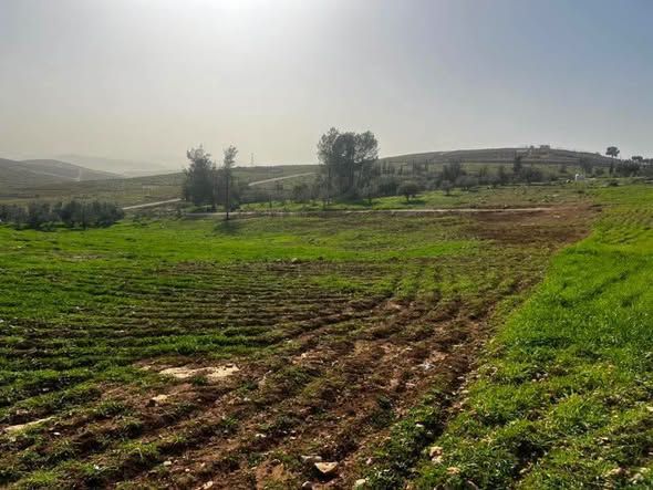 قطعة أرض 3 دونم و400 متر - بلعما — Bal'ama, الأردن (3)
