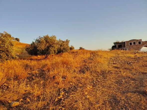أرض للبيع في طبقة فحل، إربد — Irbid, الأردن (5)
