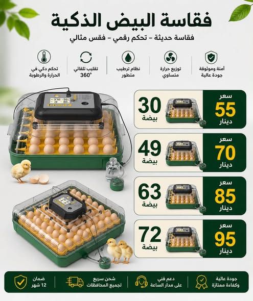 Fully Automatic Egg Incubator