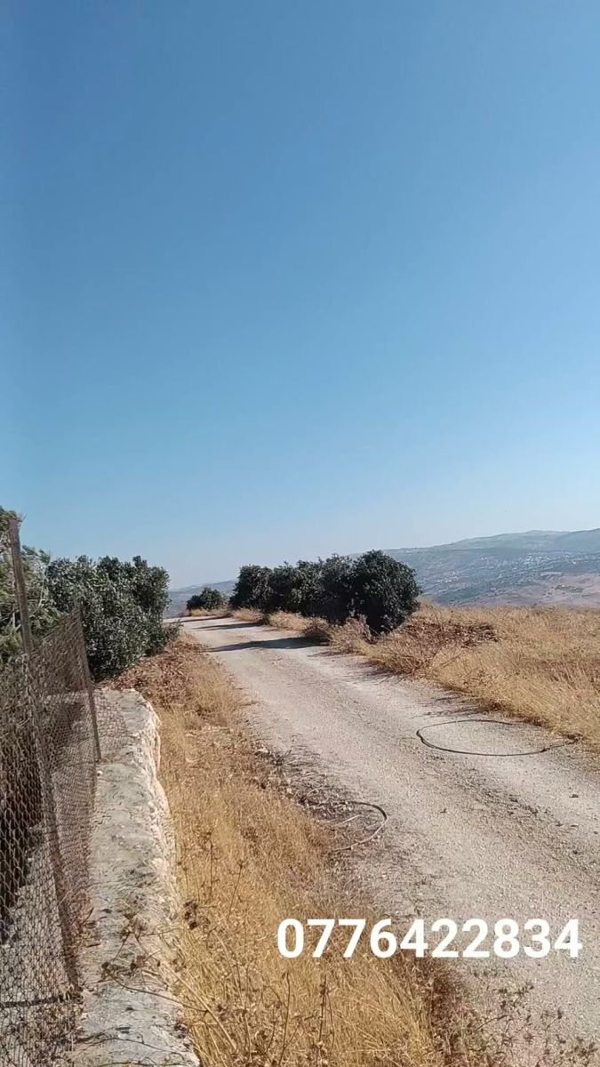 5-Dunam Land with Rural House – Uneibeh, Jerash