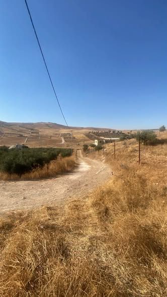 38-Dunum Olive Farm in Jerash — Jerash, Jordan (3)