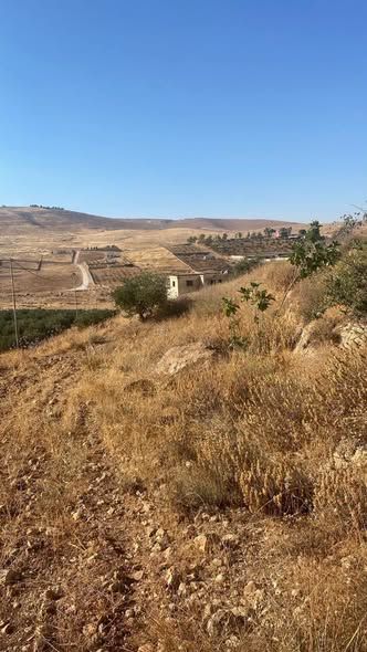38-Dunum Olive Farm in Jerash — Jerash, Jordan (5)