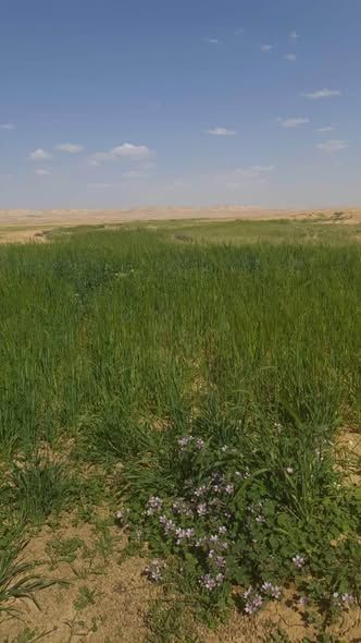 10-Dunum Investment Land – Airport Road, Amman — Jordan (4)
