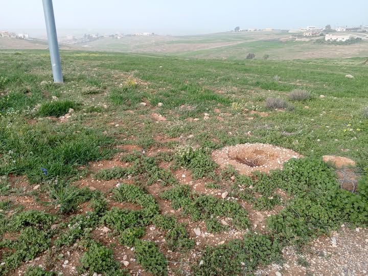 1000 sqm Land Plot - South Amman