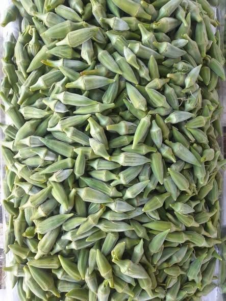 باميه بعل حبة صغيرة — اليادودة, الأردن (4)