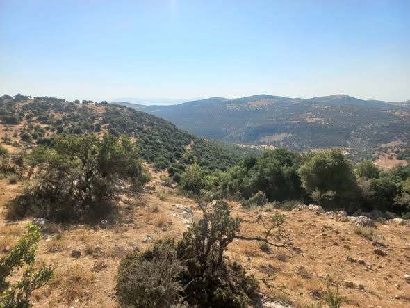 2-Dunum Land Plot in Ajloun — Ajloun, Jordan (2)