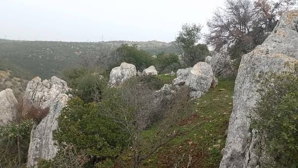 2-Dunum Land Plot in Ajloun — Ajloun, Jordan (3)