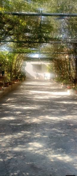 Complete Farm with Independent House – 2000 m² Land