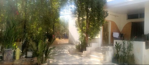 Complete Farm with Independent House – 2000 m² Land — Mafraq, Jordan (2)