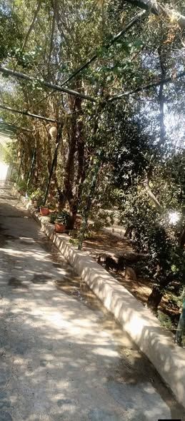 Complete Farm with Independent House – 2000 m² Land — Mafraq, Jordan (4)