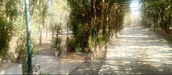 Complete Farm with Independent House – 2000 m² Land — Mafraq, Jordan (5)