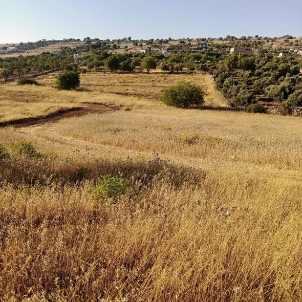 2,346 m² Investment Land in Sakhra, Ajloun