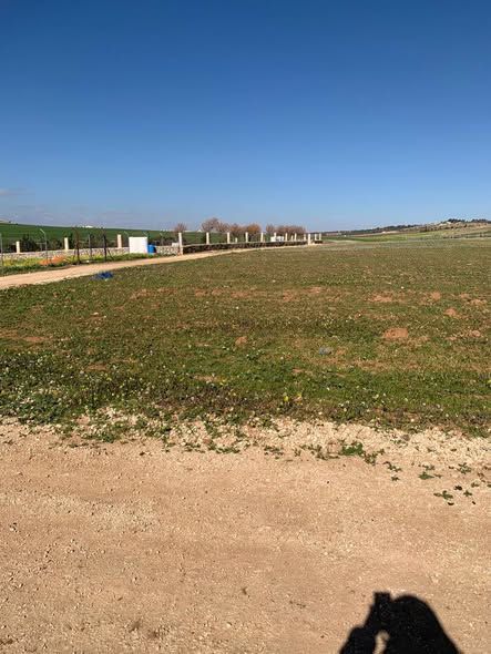 Land Plot in Madaba – Al Waha – Al Murayjmeh