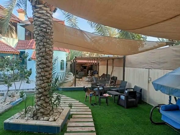 Farm Chalet in South Shuna, Jordan Valley — South Shuna, Jordan (5)