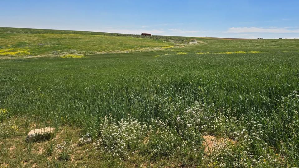 أرض 3300م للبيع - ذيبان، مادبا