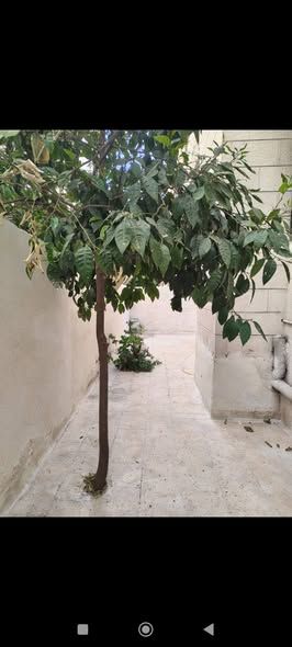 Two-Story House with Basement and Roof – 300m² Land — Amman, Jordan (5)