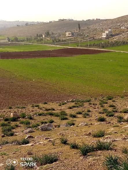 قطعة أرض 4 دونم في ماعين - مادبا — مادبا, الأردن (3)
