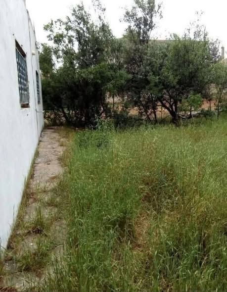 House for Sale in Amman - 476 sqm Land — Amman, Jordan (3)