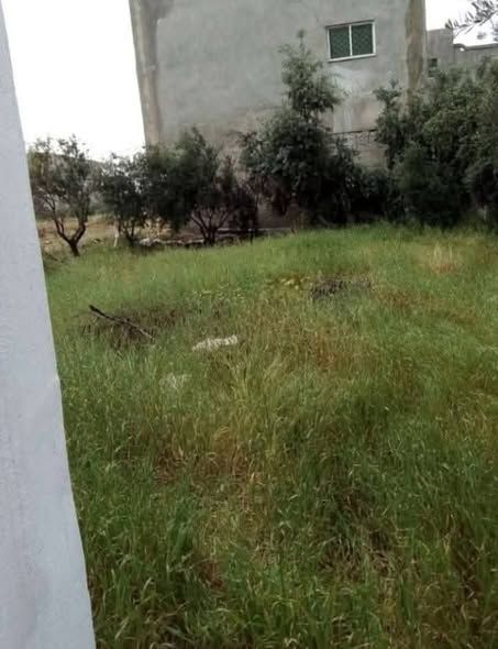 House for Sale in Amman - 476 sqm Land — Amman, Jordan (4)