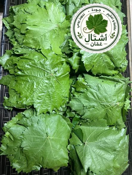 ورق عنب أسود بلدي ناعم