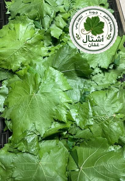 ورق عنب أسود بلدي ناعم — عمان, الأردن (3)