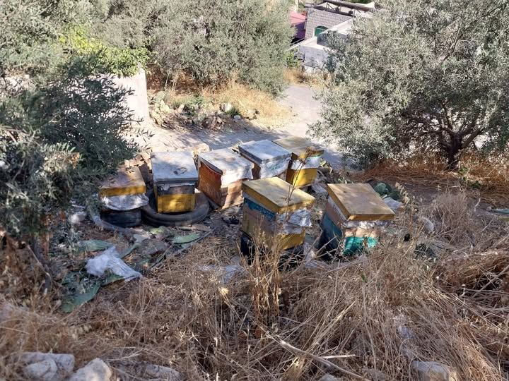 Beehives with Honey