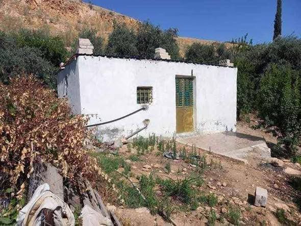 أرض 16 دونم مشجرة زيتون - الرحاب