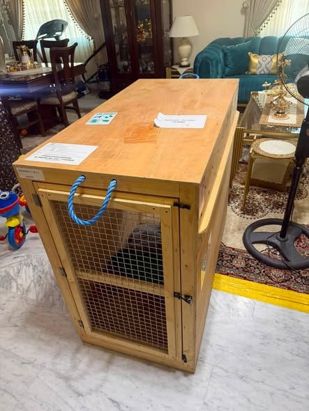 Large Dog Travel Crate